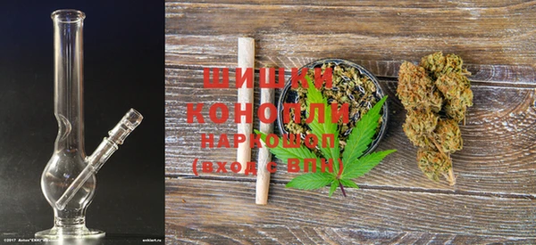 spice Дубна