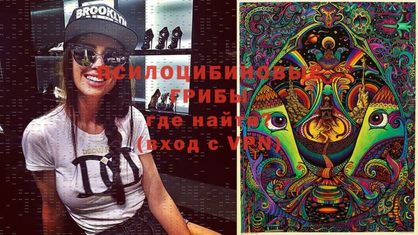 спиды Абаза