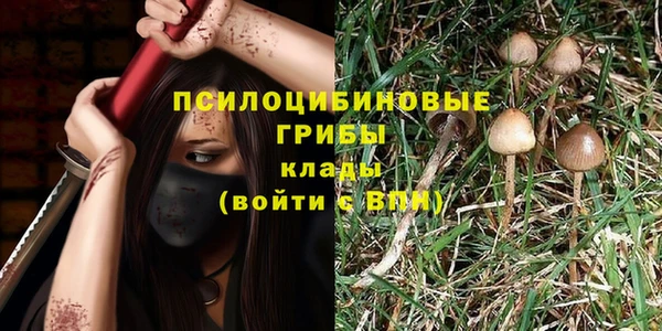 гидра Краснослободск