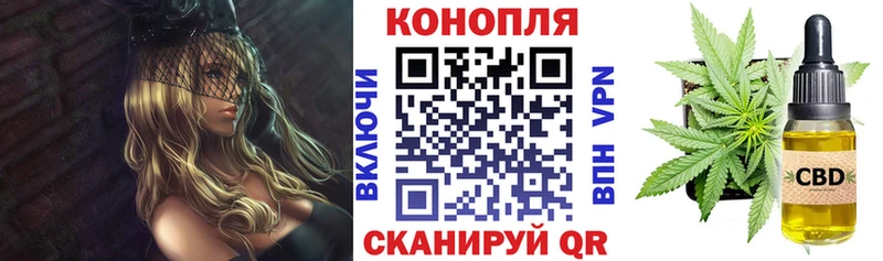 наркота  Знаменск  Канабис MAZAR 